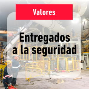entregados ing